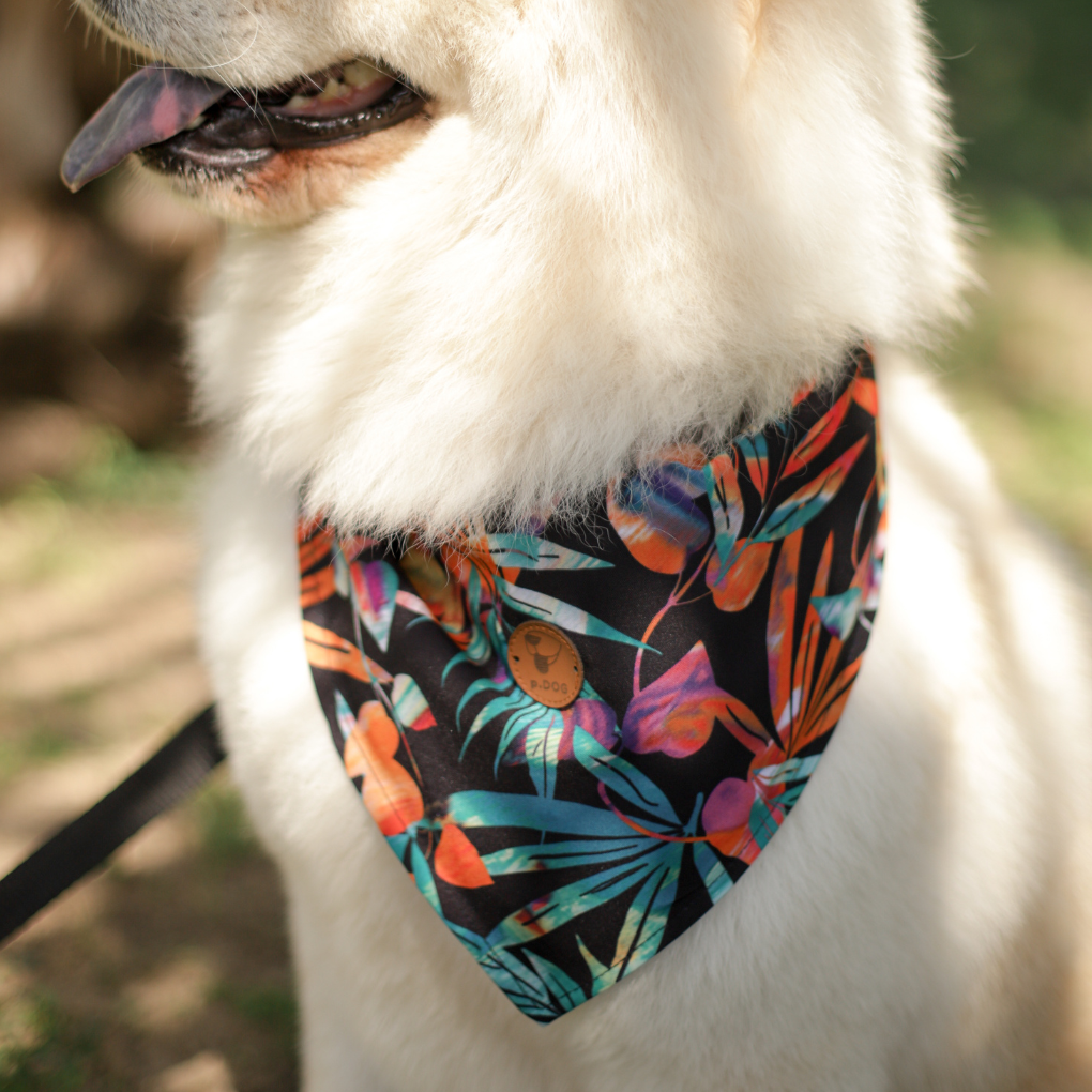 Bandana Energizar