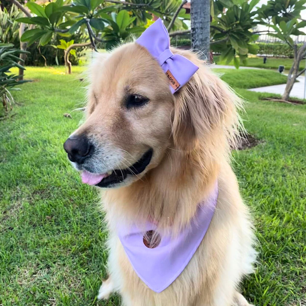 Laços