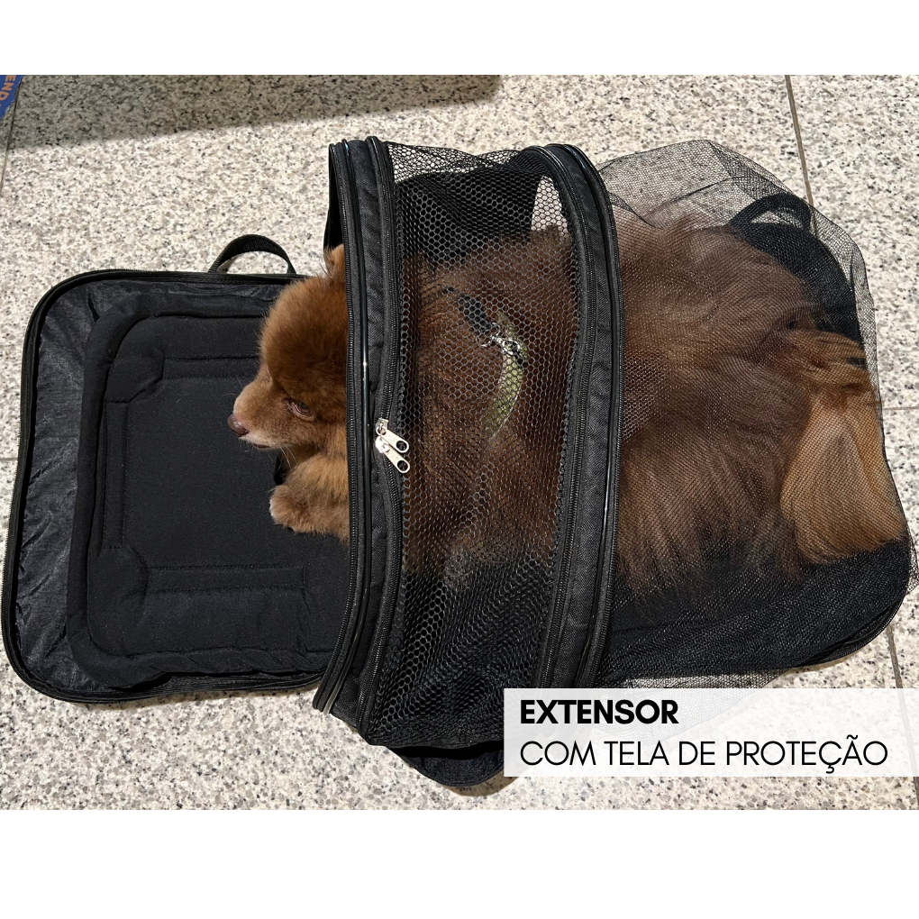 bolsa de transporte mistério