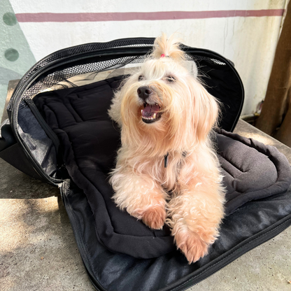 bolsa de transporte mistério